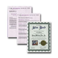 Star Portfolio (Star Portfolio)